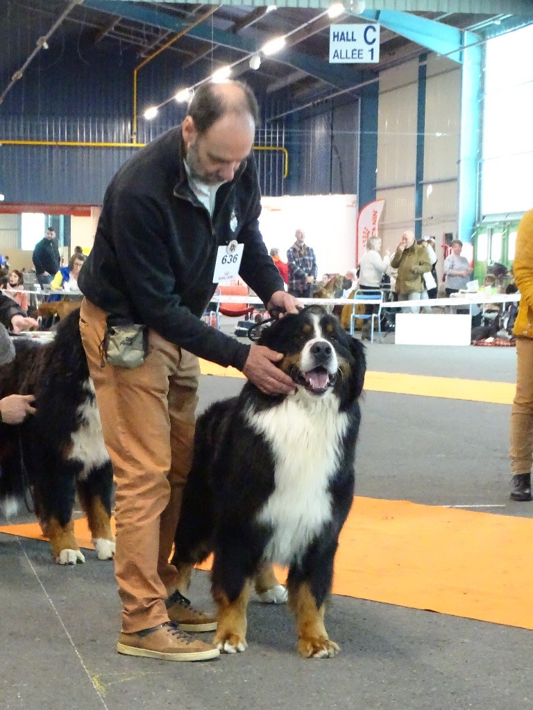 De la Ferme de la Pessoutie - Une très bonne exposition à Montluçon, spéciale de race