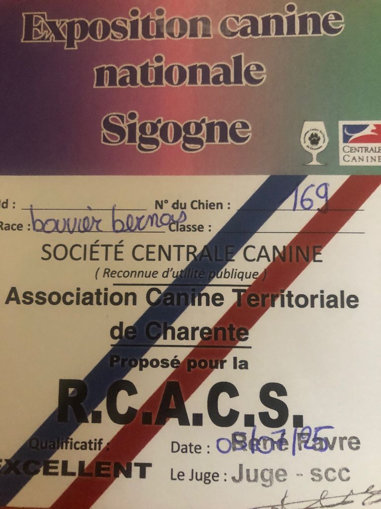 Une exposition agréable pour un début juillet à Sigogne (16)